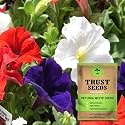 TrustBasket Premium Flower Petunia Mixed Seeds (Open pollinated) | Sow and Grow Fresh Healthy Seed in Your Garden Perfect for Home &amp; Terrace Gardening High Germination Seeds