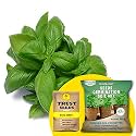 TrustBasket Premium Methi (Hybrid) Seeds with Free Germination Potting Soil Mix | Sow and Grow Fresh Healthy Seed in Your Garden Perfect for Home &amp; Terrace Gardening