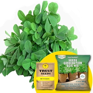 trustbasket premium methi hybrid seeds with free germination potting soil mix  sow and grow fresh healthy seed in your garden perfect for home amp terrace gardening