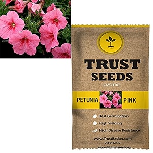 trustbasket premium stocks flowers seeds hybrid  sow and grow fresh healthy seed in your garden perfect for home amp terrace gardening high germination seeds