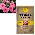 TrustBasket Premium Stocks Flowers Seeds (Hybrid) | Sow and Grow Fresh Healthy Seed in Your Garden Perfect for Home &amp; Terrace Gardening High Germination Seeds