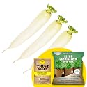 TrustBasket Premium Raddish Long White (Hybrid) Seeds with Free Germination Potting Soil Mix | Sow and Grow Fresh Healthy Seed in Your Garden Perfect for Home &amp; Terrace Gardening