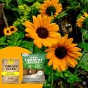 TrustBasket® Sun Flower Miniatre (Hybrid) Seeds With Free Germination Potting Soil Mix