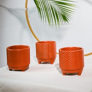 trustbasket terra craze small clay flower pots set of 3  black amp gold terracotta clay flower pot  mud plant container  handmade pots  gamla for plants  clay pots for plants  indoor outdoor use
