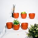 TrustBasket Terra Minis Small Flower Pots Set of 6 | Olive Terracotta Flower Pot | Mud Plant Container | Handmade Pots | Gamla for Plants | Pots for Plants | Indoor Outdoor Use