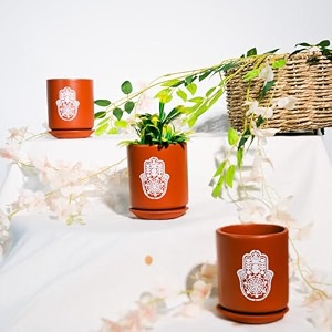 trustbasket terra minis small flower pots set of 6  olive terracotta flower pot  mud plant container  handmade pots  gamla for plants  pots for plants  indoor outdoor use