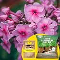 TrustBasket® Verbena (Hybrid) Seeds with Free Germination Potting Soil Mix