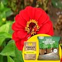 TrustBasket® Zinia Red (Hybrid) Seeds With Free Germination Potting Soil Mix