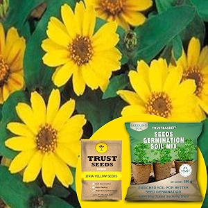 trustbasket zinia yellow hybrid seeds with free germination potting soil mix