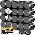 TRYMAG Magnets for Crafts 300pcs Science Education Magnets Magnetism Kits