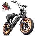 TST Electric Bike for Adults 48V 15Ah