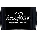 Tsukineko VM000001 Full-Size VersaMark Pigment Inkpad, 3-Inch X 2-Inch, Clear