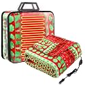 Tuanse 58x43 Inches 12v Heated Car Blanket Plug in, Red Green, Xmas Candy