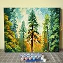 Tucocoo Forest Redwoods Paint by Numbers Kits with Brushes and Acrylic Pigment on Canvas Painting for Adults, Light Green Style Landscape Trees Pictures for Home Decor Gifts 16''x20'' (DIY Framed)