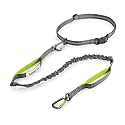 Tuff Mutt Hands-Free Waist Leash for Dog Walking, Running and Hiking, Carabiner Clip, Adjustable Belt with Double Handle, Reflective Bungee Design for Large & Medium Dogs