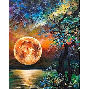full moon diy acrylic painting by numbers kit on canvas paint by number kit adults beginner number painting kit diy canvas painting by numbersdiy painting kit adults multicolor