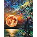 Full Moon Diy Acrylic Painting By Numbers Kit On Canvas, Paint By Number Kit Adults Beginner Number Painting Kit Diy Canvas Painting By Numbers.Diy Painting Kit Adults, Multicolor