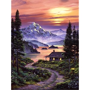 full moon diy acrylic painting by numbers kit on canvas paint by number kit adults beginner number painting kit diy canvas painting by numbersdiy painting kit adults multicolor