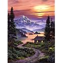 Full Moon Diy Acrylic Painting By Numbers Kit On Canvas, Paint By Number Kit Adults Beginner Number Painting Kit Diy Canvas Painting By Numbers.Diy Painting Kit Adults, Multicolor