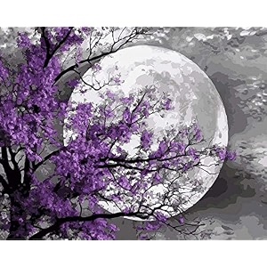 moonscape diy acrylic painting by numbers kit on canvas paint by number kit for adults beginner number painting kit diy canvas painting by numbersmulti-coloured