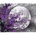 Moonscape Diy Acrylic Painting By Numbers Kit On Canvas, Paint By Number Kit For Adults Beginner Number Painting Kit Diy Canvas Painting By Numbers,Multi-Coloured