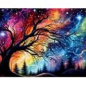 TULIP N TURTLE Northern Light Diy Acrylic Paint By Number Kit For Adults Kids Beginner Number Painting Kit Diy Canvas Painting By Number Wall Decoration Diy Painting Kit,Multi-Coloured