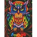 TULIP N TURTLE Owl DIY 5D Diamond Painting by Number Kits Diamond Dril Diamond Painting Kit Cross Stitch Pictures Arts Craft