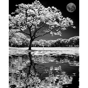 shadow diy acrylic painting by numbers kit on canvas paint by number kit for adults beginner number painting kit diy canvas painting by numbersmulti-coloured