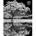 Shadow Diy Acrylic Painting By Numbers Kit On Canvas, Paint By Number Kit For Adults Beginner Number Painting Kit Diy Canvas Painting By Numbers,Multi-Coloured