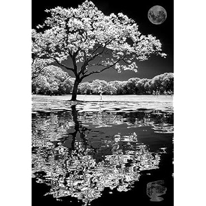 tulip n turtle shadow diy paint by number kit for adults kids beginner number painting kit diy canvas painting by number wall decoration diy painting kit for adults