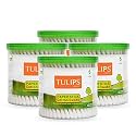 TULIPS Cotton Ear Buds/Swabs (pack of 4) with White PAPER Sticks (200/400 Tips) in a Jar