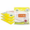 TULIPS Premium Cotton Ear Buds/Swabs (Pack of 4) with white PAPER Sticks 80/160 Tips