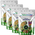 TummyFriendly Foods USDA Organic Health Mix for