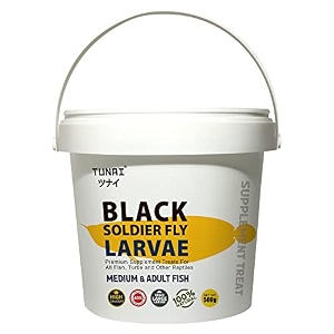 tunai black soldier fly larvae bsfl  500g  40 protein and calcium rich fish food for oscar arowana flowerhorn adult turtle amp other reptiles