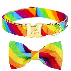 Tunkoo Rainbow Dog Collar with Very Pretty