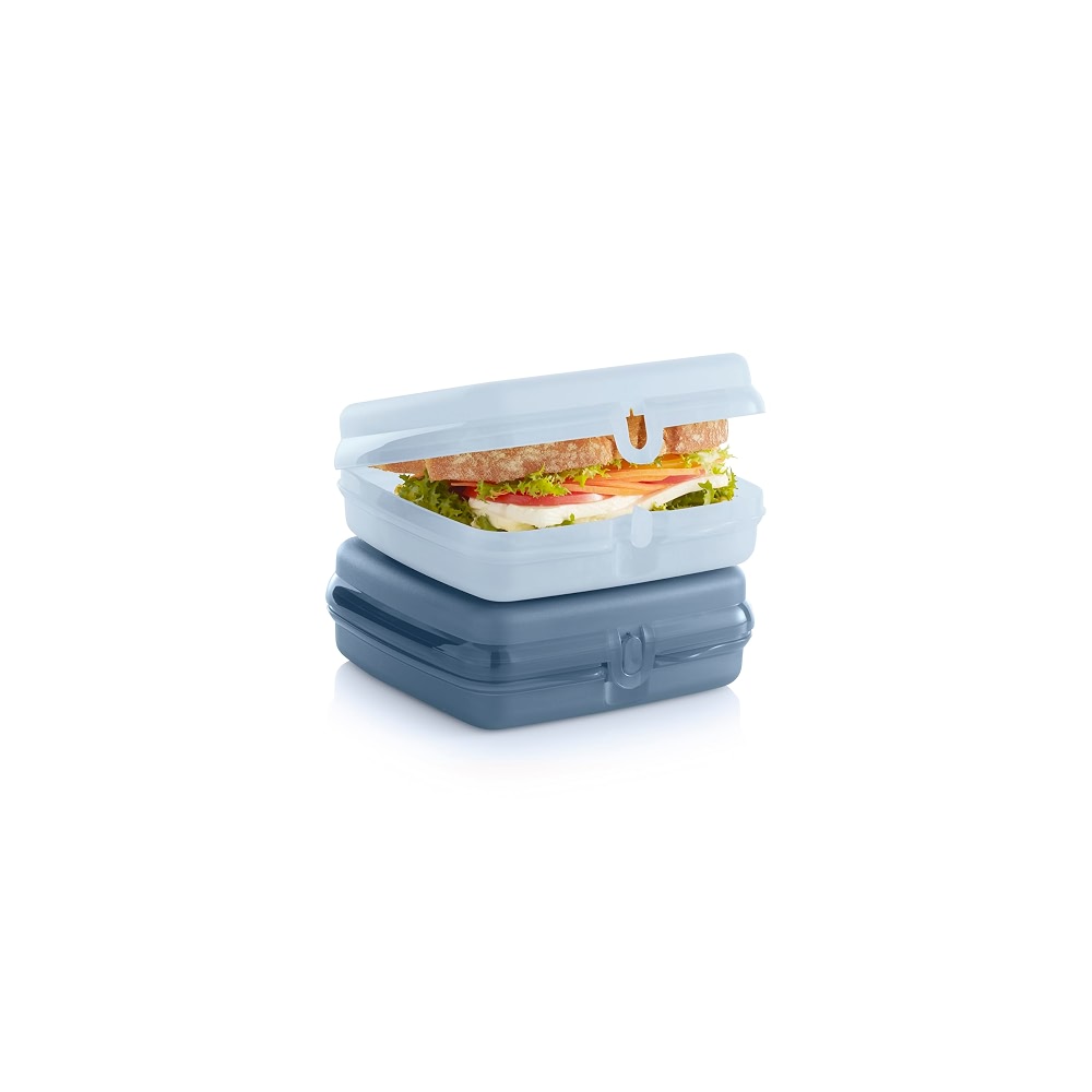 Tupperware Polypropylene Sandwich Keeper 2-Container Set, Dishwasher ...
