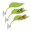 Tree Frog Terrarium Accessories, 3PCS Turtle Basking Platform