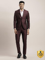 TURTLE Men 2-Piece Textured Suit