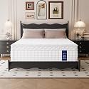 Twin XL Size Mattress 12 Inch Medium Firm Hybrid Mattress in a Box