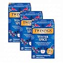 Twinings of London Winter Spice Herbal Tea Bags, 20 Count (Pack of 3)