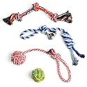TwoEar Dog Rope Toy 4 Pack - Puppy Teething Toys for Small Breed