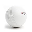 TYKA Heavy Gravix Moisture Resistant Cricket Ball 100± GMS - Eco-Friendly Training Ball | All Weather Durable Performance | True Bounce, Engineered Power | Pack of 1