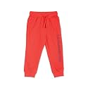 U.S. POLO ASSN. Boys Pants