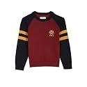 U.S. Polo ASSN. Boys Sweater