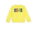 U.S. POLO ASSN. Boys Sweatshirt
