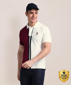 U.S. POLO ASSN. Colorblock Men Polo Neck