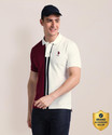 U.S. POLO ASSN. Colorblock Men Polo Neck