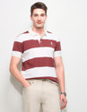 U.S. POLO ASSN. Men Striped Polo Neck