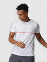 U.S. POLO ASSN. Solid Men Round Neck