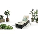 UF Outdoor Poolside Lounger with Adjustable Backrest Sun Chaise Recliner for Terrace Garden Poolside for Relaxation Durable and Stylish (Cream & Balck, Single)